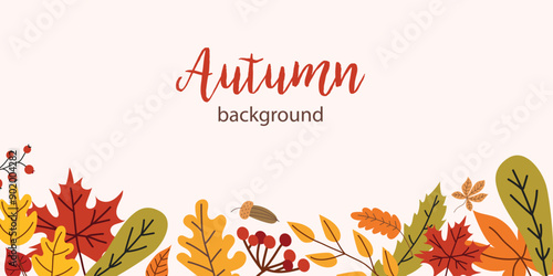 Autumn background with leaves. Vector fall banner. Place for text.