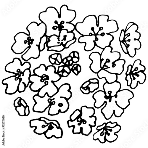 black and white flowers