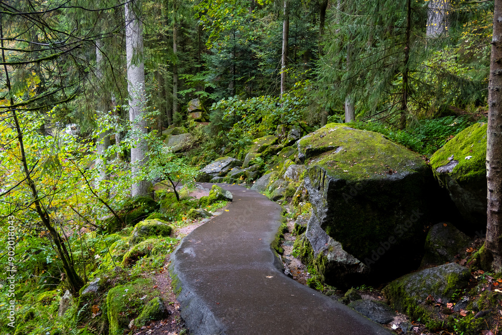 Fototapeta premium Scenic trail along Triberg water falls in Bavaria, Germany