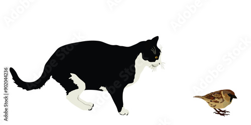 Fat hungry cat chasing bird vector illustration isolated. Cat lurking to eat sparrow. Feline hunter hunting prey. Ambush cat catch little bird for dinner. Domestic farm predator. Home pet in  hunt.
