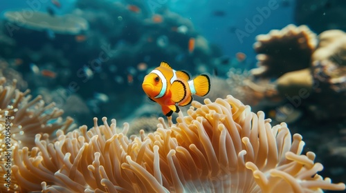 A small orange fish is swimming in front of a large green sea anemone. The fish is surrounded by other fish, but it is the main focus of the image. The scene is peaceful and serene