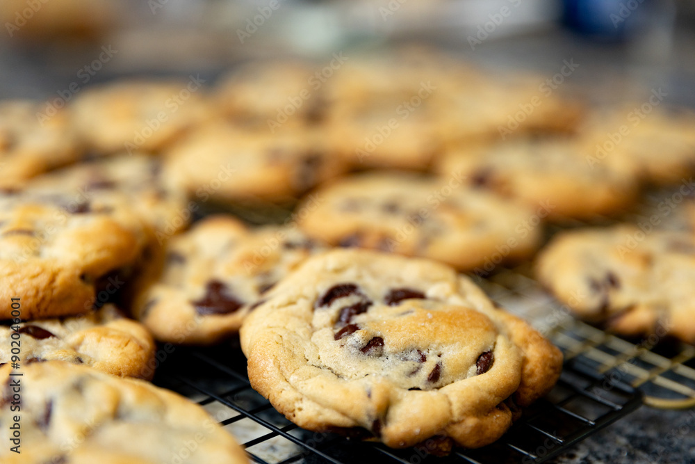 Close up of fresh batch of homemade chocolate chip cookies, selective focus. Close up of fresh batch of homemade chocolate chip cookies, selective focus.
