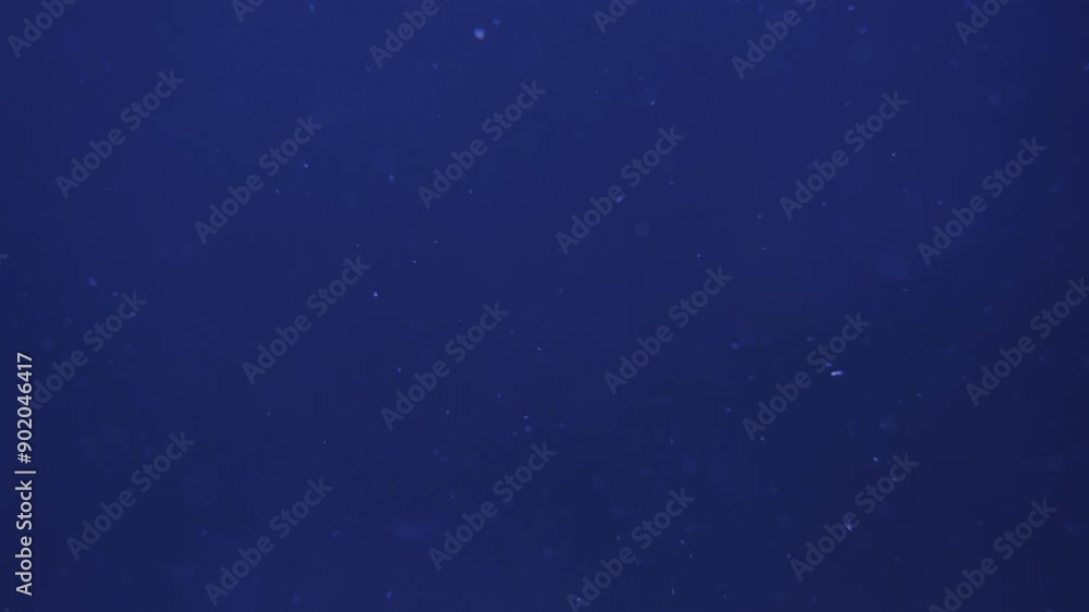 underwater blue sea background with bubbles underwater blue sea background with bubbles
