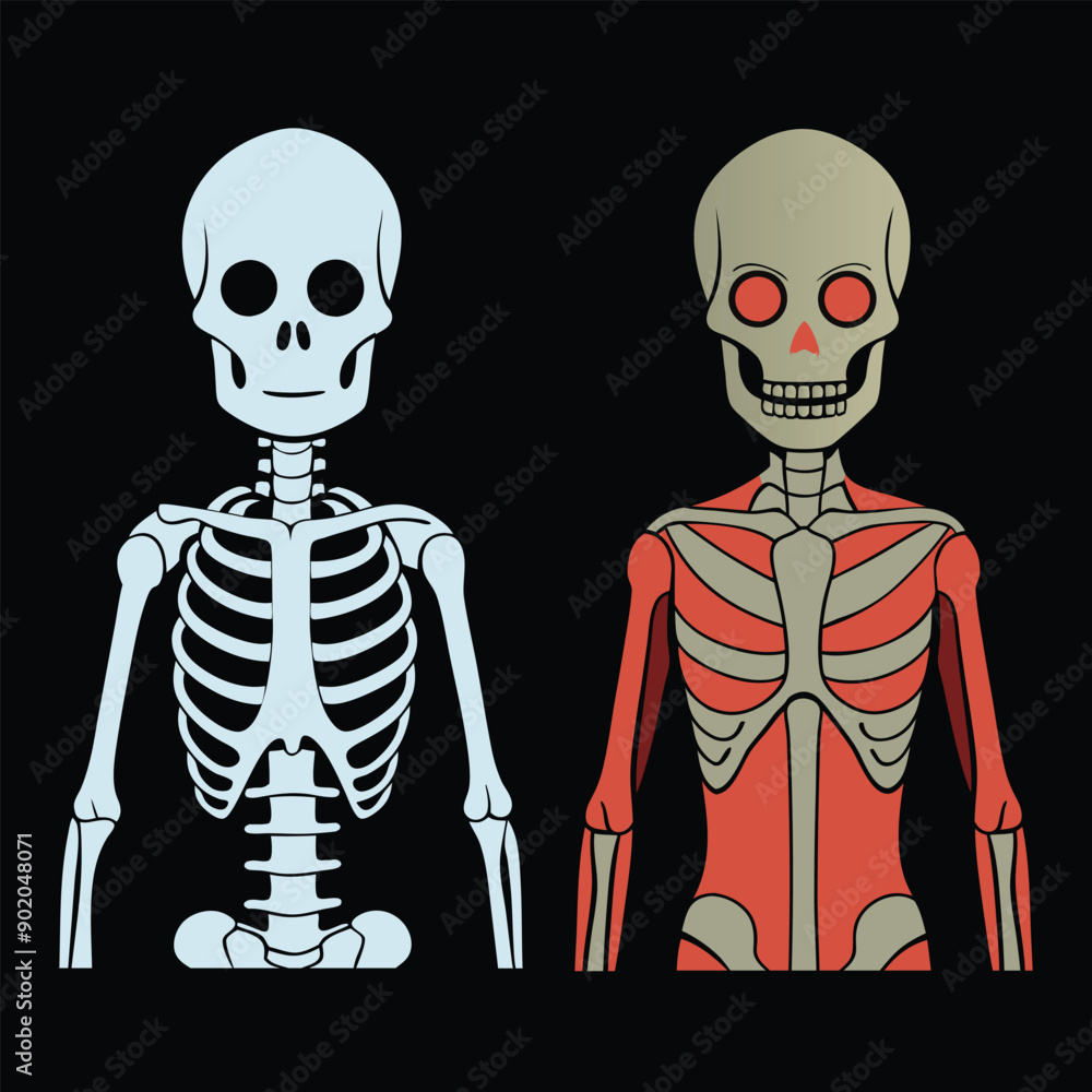Hauntingly beautiful human skeleton illustration for digital art, vector, cartoon, clipart, and line art designs. Hauntingly beautiful human skeleton illustration for digital art, vector, cartoon, clipart, and line art designs.