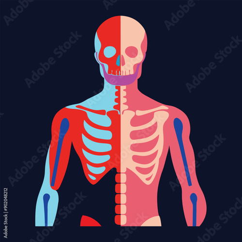 Hauntingly beautiful human skeleton illustration for digital art, vector, cartoon, clipart, and line art designs.