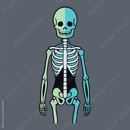 Hauntingly beautiful human skeleton illustration for digital art, vector, cartoon, clipart, and line art designs.