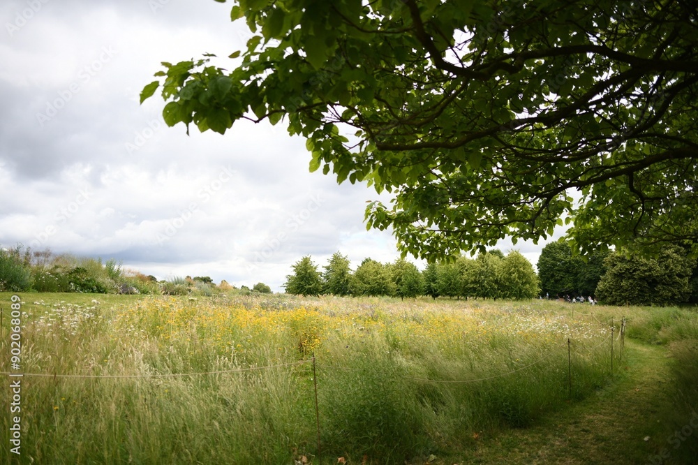 Fototapeta premium Colorful Field on a Gray Day in London