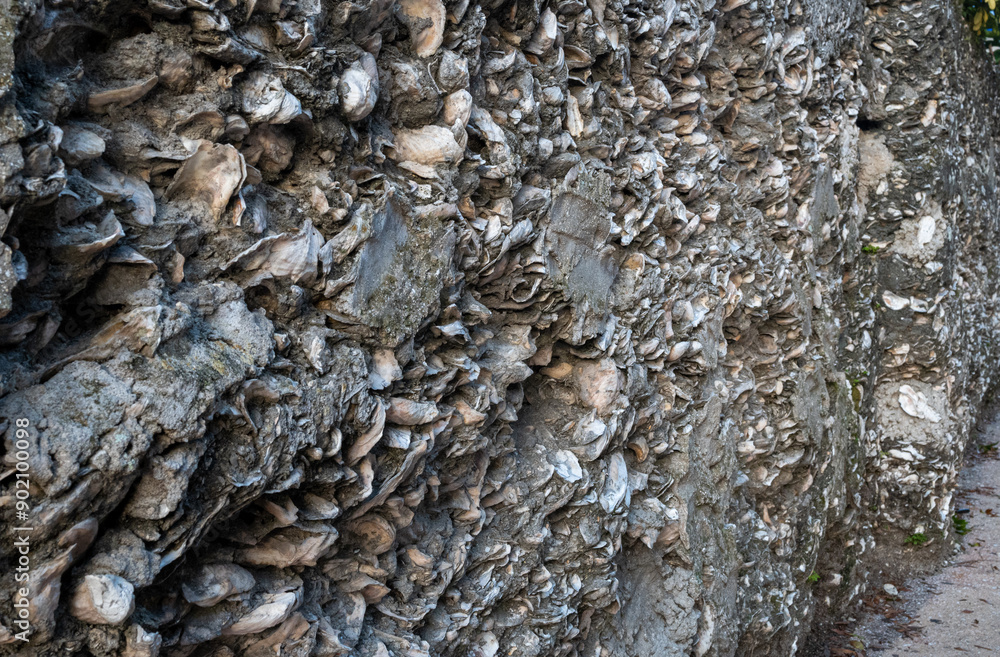 Wall of coquina Wall of coquina