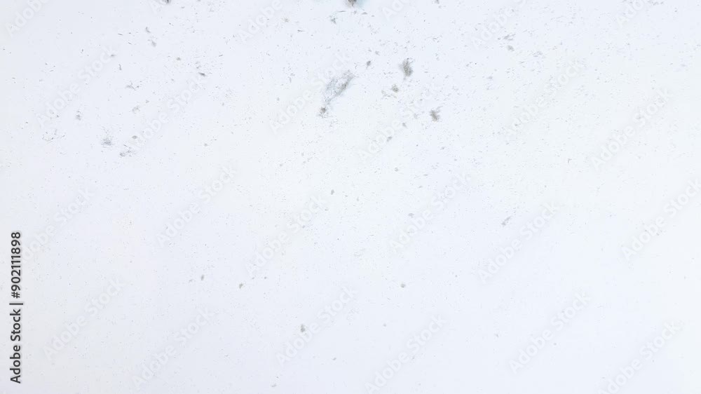 Dust on a white background. Particles of dust, dirt, debris. Household dust.