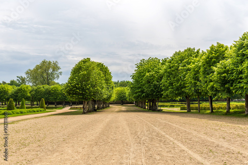 Tree-Lined Pathways at The Grand Parterre, Chateau de Fontainebleau