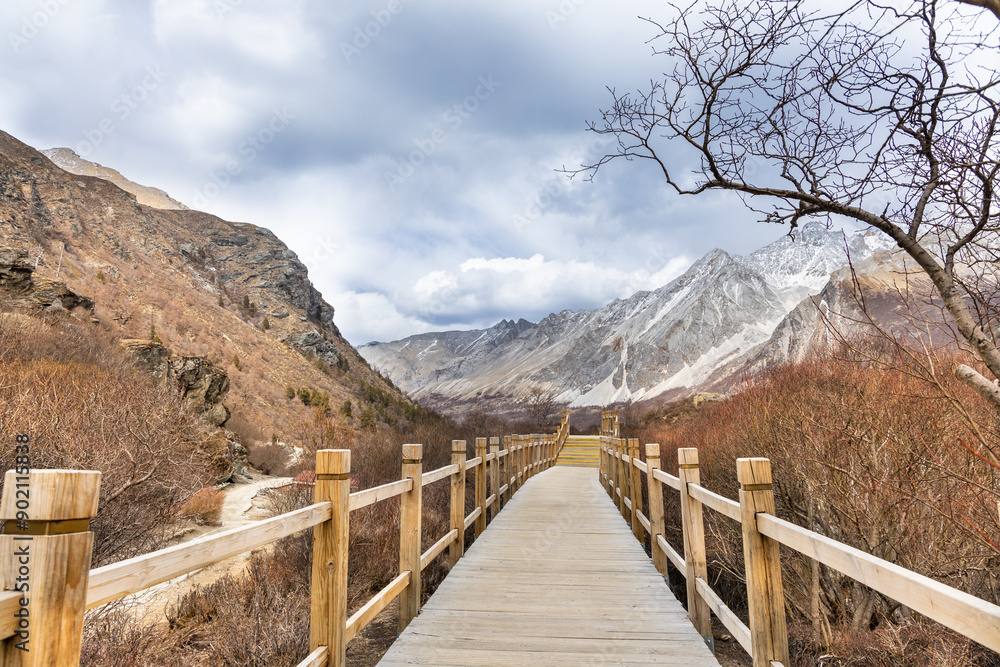 Boardwalk path in the scenic and breathtaking Yading nature reserve's Luorong Pasture grassland, located in Garze Tibetan Autonomous Prefecture, Sichuan., China Boardwalk path in the scenic and breathtaking Yading nature reserve's Luorong Pasture grassland, located in Garze Tibetan Autonomous Prefecture, Sichuan., China