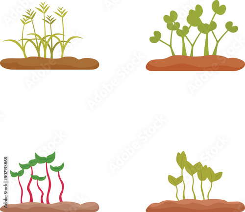 Set of four flat vector icons illustrating different stages of plant growth from seedlings to young plants