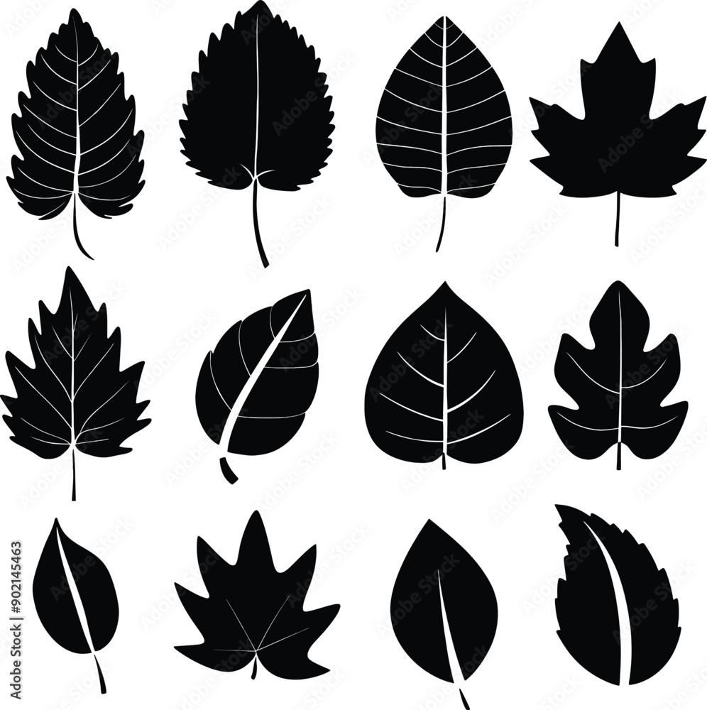 Fototapeta premium Leaf silhouette black and white vector 