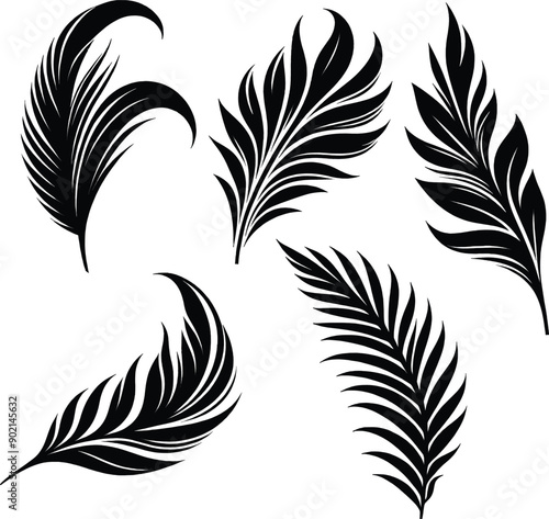  Leaf silhouette black and white  vector 