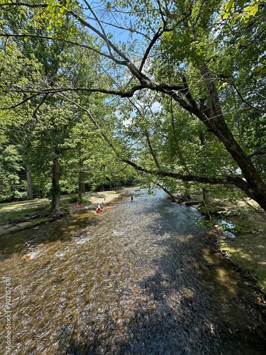 River in the forest with people enjoying