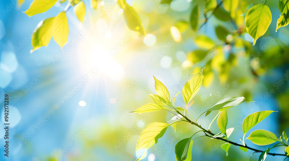 A fresh spring blue sunny sky background with blurred warm sunny glow. A fresh spring blue sunny sky background with blurred warm sunny glow.