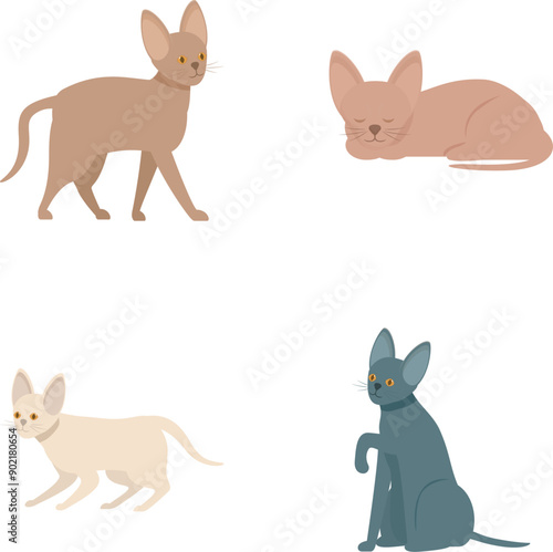 Collection of cute illustrated cats standing, lying, and sitting in simple, modern style