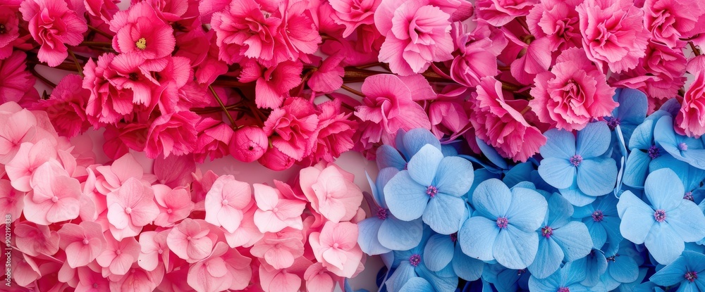 Beautiful Fresh Blue And Pink Hydrangea And Delphinium Flowers, Close-Up Vertical View, Capturing Nature'S Elegance Beautiful Fresh Blue And Pink Hydrangea And Delphinium Flowers, Close-Up Vertical View, Capturing Nature'S Elegance