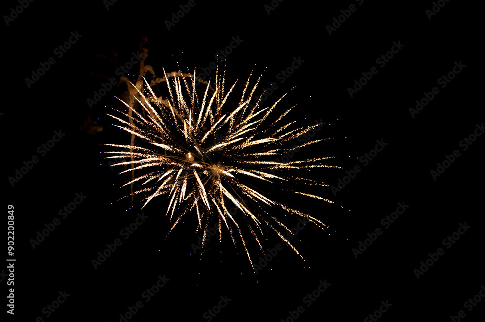 Fototapeta premium fireworks in the night sky