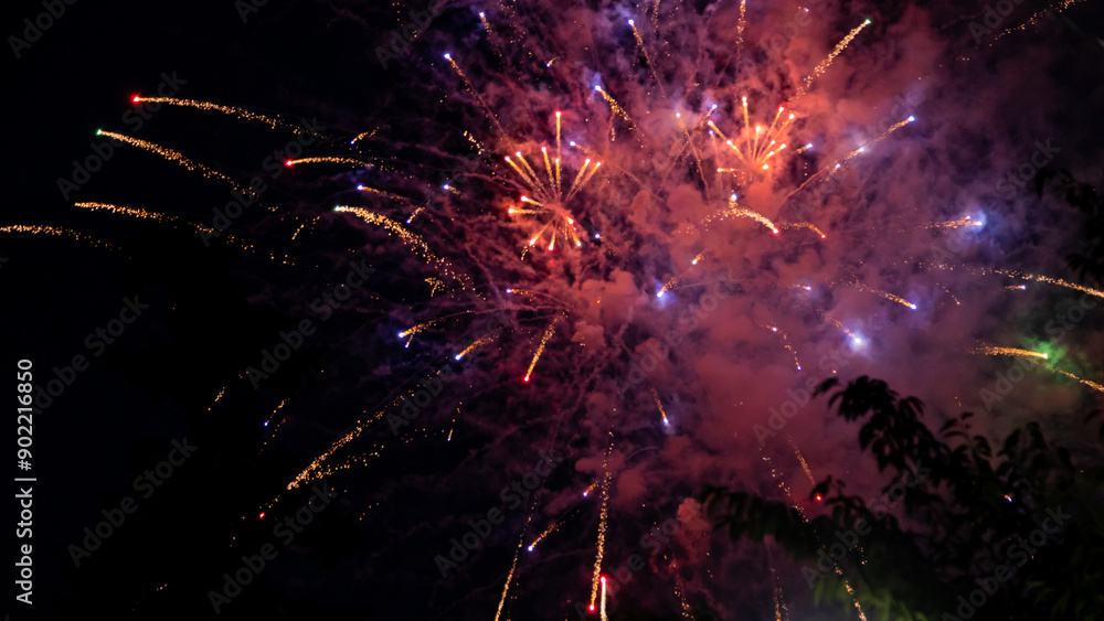 custom made wallpaper toronto digitalSumidagawa Fireworks Festival 2024 in Tokyo