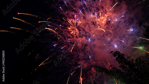 Wallpaper Mural Sumidagawa Fireworks Festival 2024 in Tokyo Torontodigital.ca