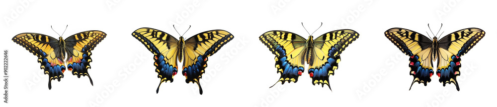 Four Yellow and Black Butterflies on Black Background Four Yellow and Black Butterflies on Black Background
