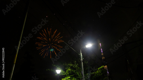 Sumidagawa Fireworks Festival 2024 in Tokyo photo