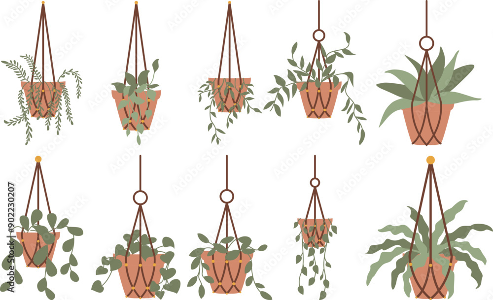 Hanging Plants Element Hanging Plants Element