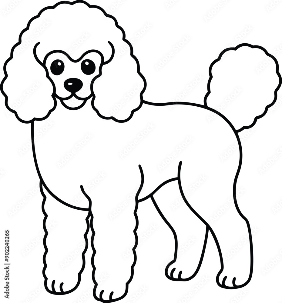 Poodle Dog vector style,Clipart , Illustration with white background Poodle Dog vector style,Clipart , Illustration with white background