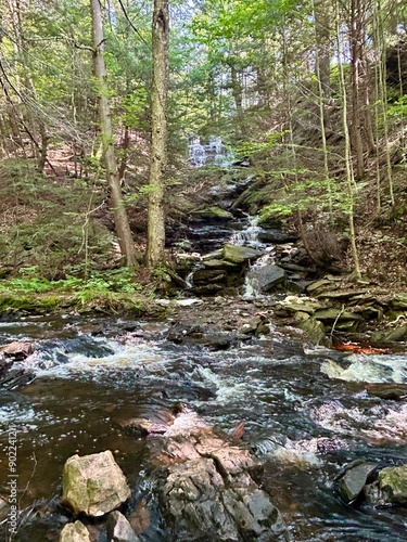 Ricketts Glen State Park, Pennsylvania, USA