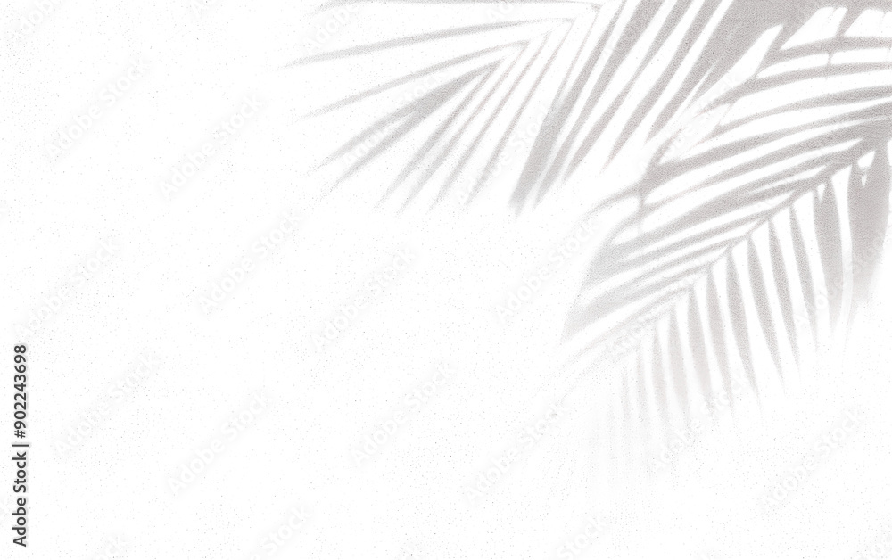 Obraz premium Abstract background of palm leaves or coconut leaves and perspective. Natural pattern, gray shadow. Copy space or empty. For advertisements, business cards, and transparent backgrounds with png