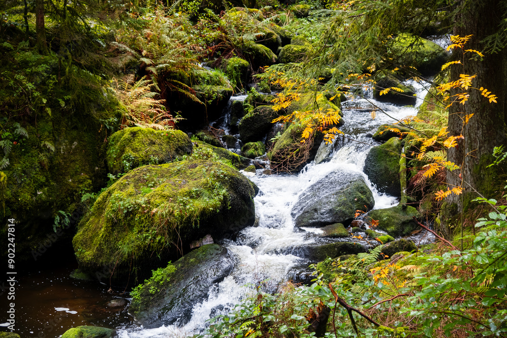 Scenic Triberg water falls in Black forest, Germany. Scenic Triberg water falls in Black forest, Germany.