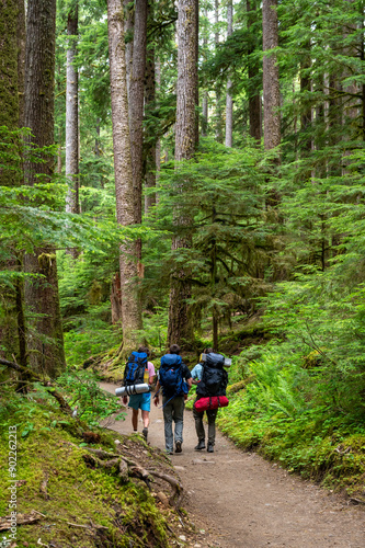 Young students hiking in Olympic national park