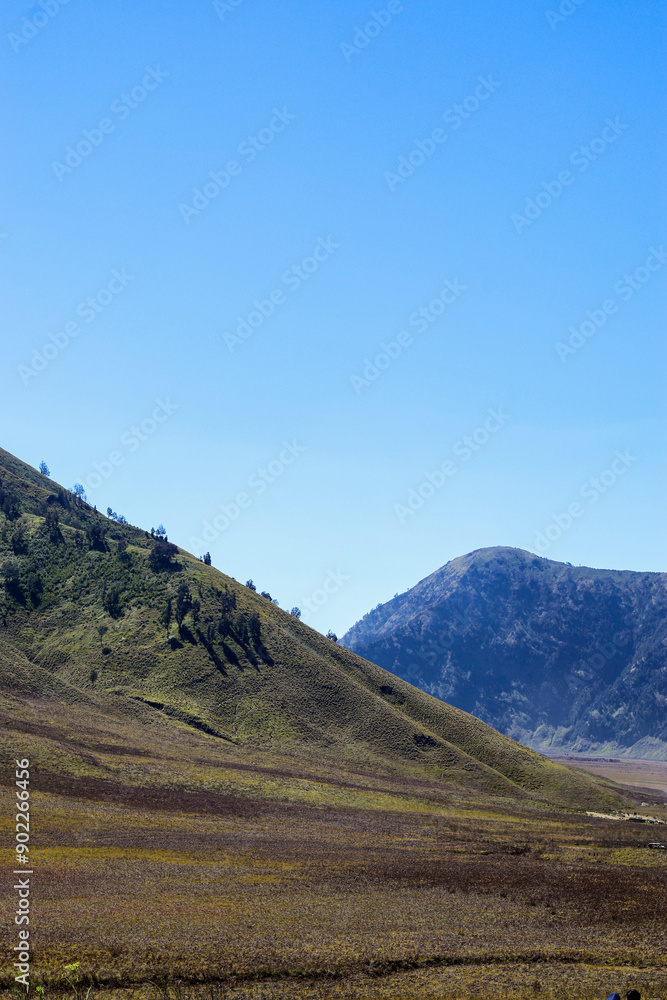 Naklejka premium Landscape with Blue Sky