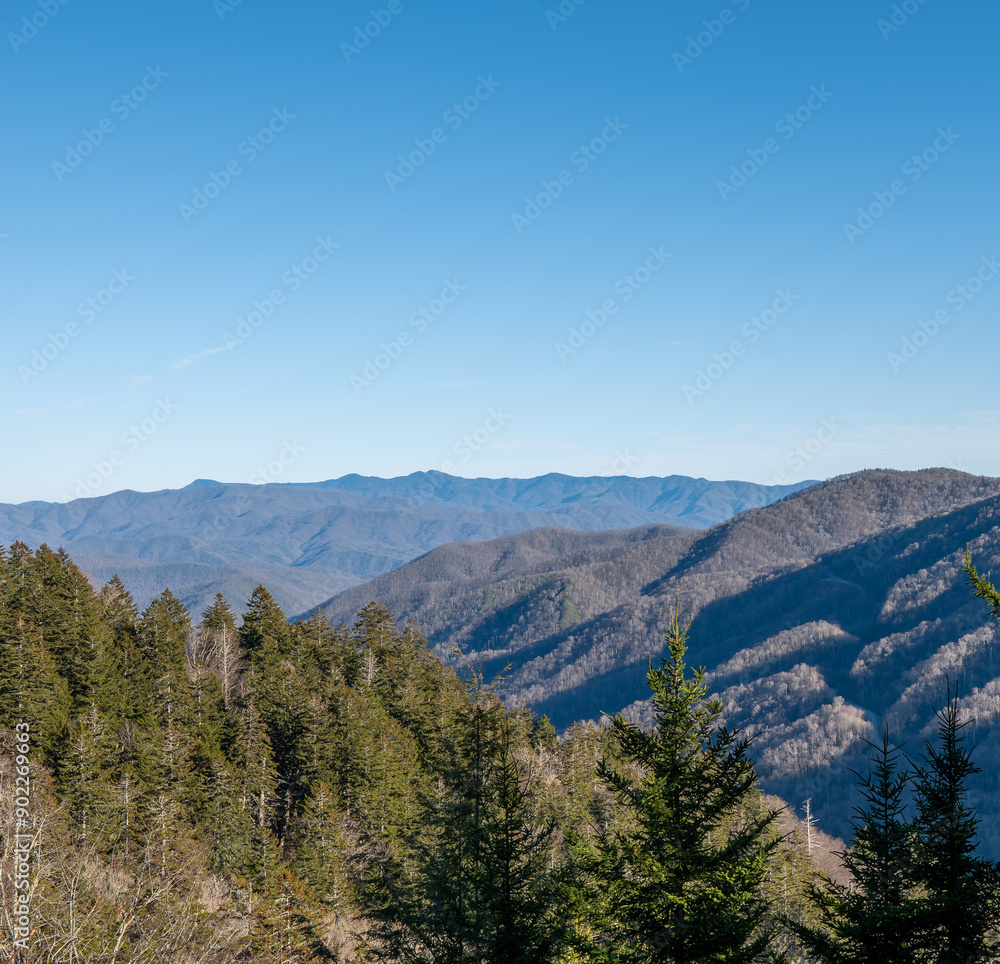 View of the Smokey Mountains in the distance View of the Smokey Mountains in the distance