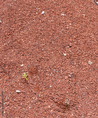 Wet Red Sand and Stones of the red Sea Coast. Natural Texture Background Terracotta Granite Pebbles, Schist and Sands