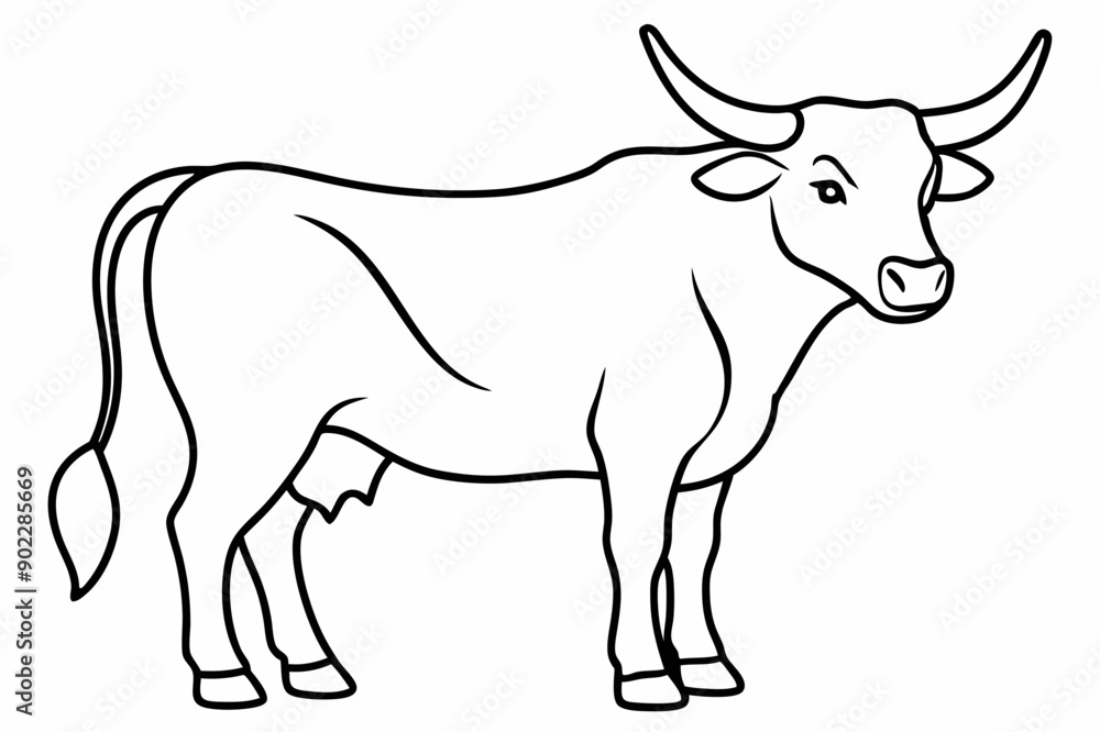 Bull line art vector illustration Bull line art vector illustration