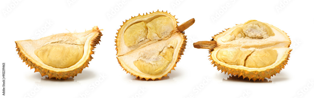 Durian fruit in south east asia, the king of fruits on white background Durian fruit in south east asia, the king of fruits on white background