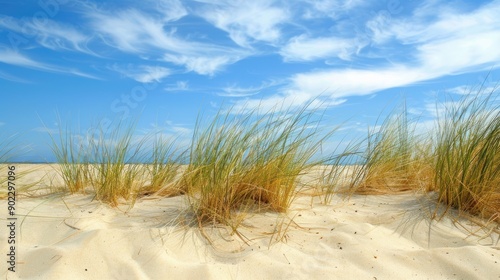 Wallpaper Mural Sparse dune grass with room for text Torontodigital.ca