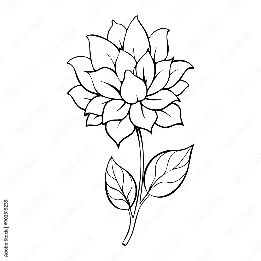Lotus Flower Line Art Lotus Flower Line Art