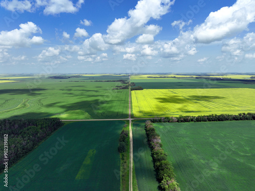 Fields of canola, wheat and barley intersected by gravel roads in rural Saskatchewan