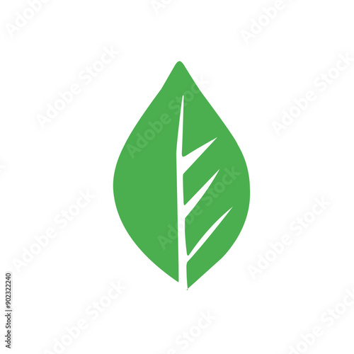 green leaf vector icon