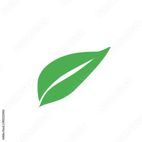 green leaf vector icon