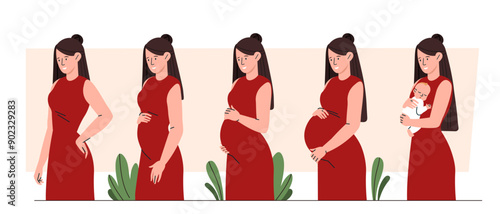 Stages of pregnancy set. 4 trimesters of pregnancy and mother with baby in her arms. Gynecology and anatomy. Motherhood and parenthood. Flat vector collection isolated on white background