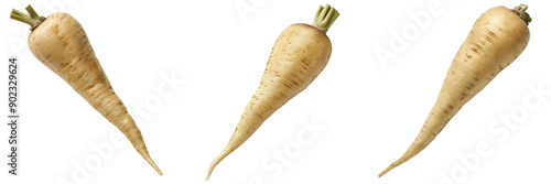 Set of A fresh, unpeeled parsnip isolated on transparent background photo