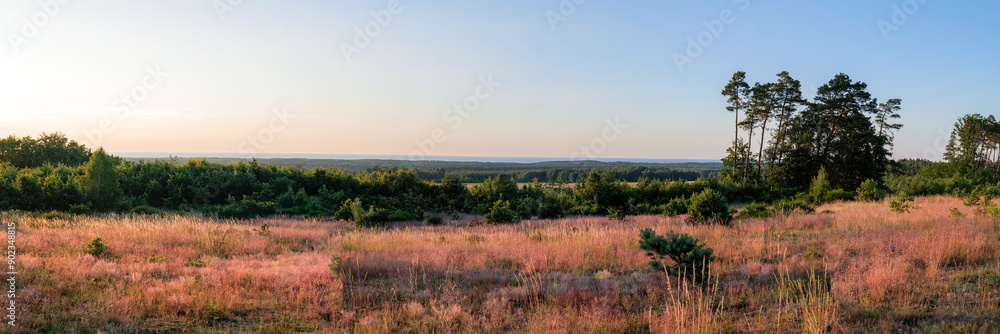 Beautiful panoramic view of the Baltic Sea from the viewpoint. Meadow in the foreground. Forest and sea in the distance. Ulinia, Poland