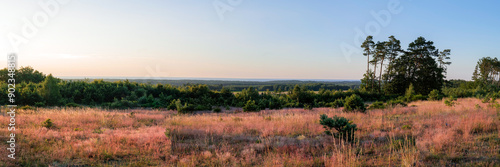 Obraz na płótnie Beautiful panoramic view of the Baltic Sea from the viewpoint. Meadow in the foreground. Forest and sea in the distance. Ulinia, Poland w salonie