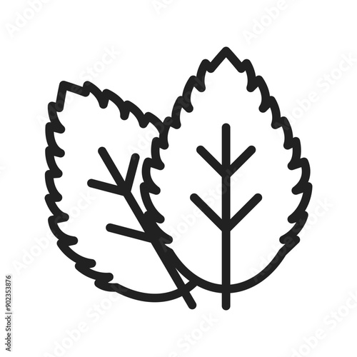 Spearmint  icon vector image. Suitable for mobile application web application and print media.