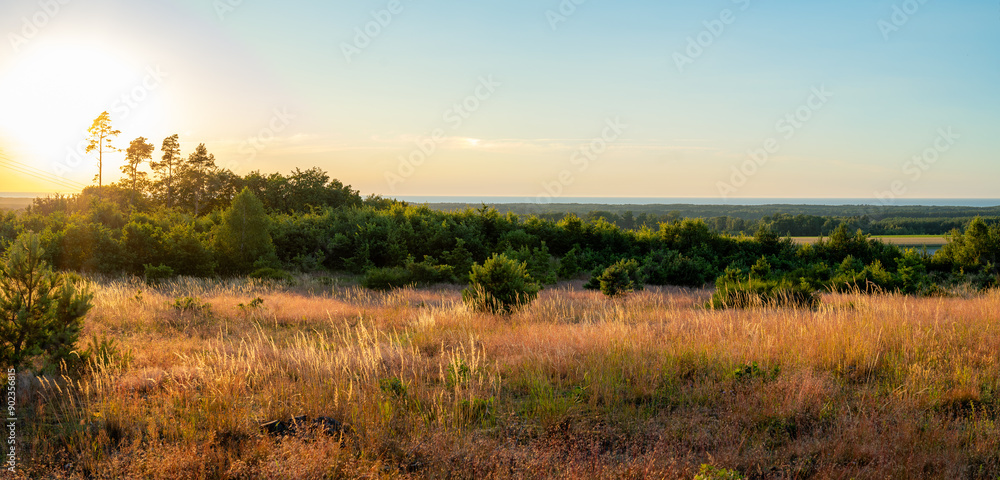 Beautiful panoramic view of the Baltic Sea from the viewpoint. Meadow illuminated by the setting sun in the foreground. Forest and sea in the distance. Ulinia, Poland