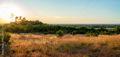 Obraz na płótnie Beautiful panoramic view of the Baltic Sea from the viewpoint. Meadow illuminated by the setting sun in the foreground. Forest and sea in the distance. Ulinia, Poland w salonie